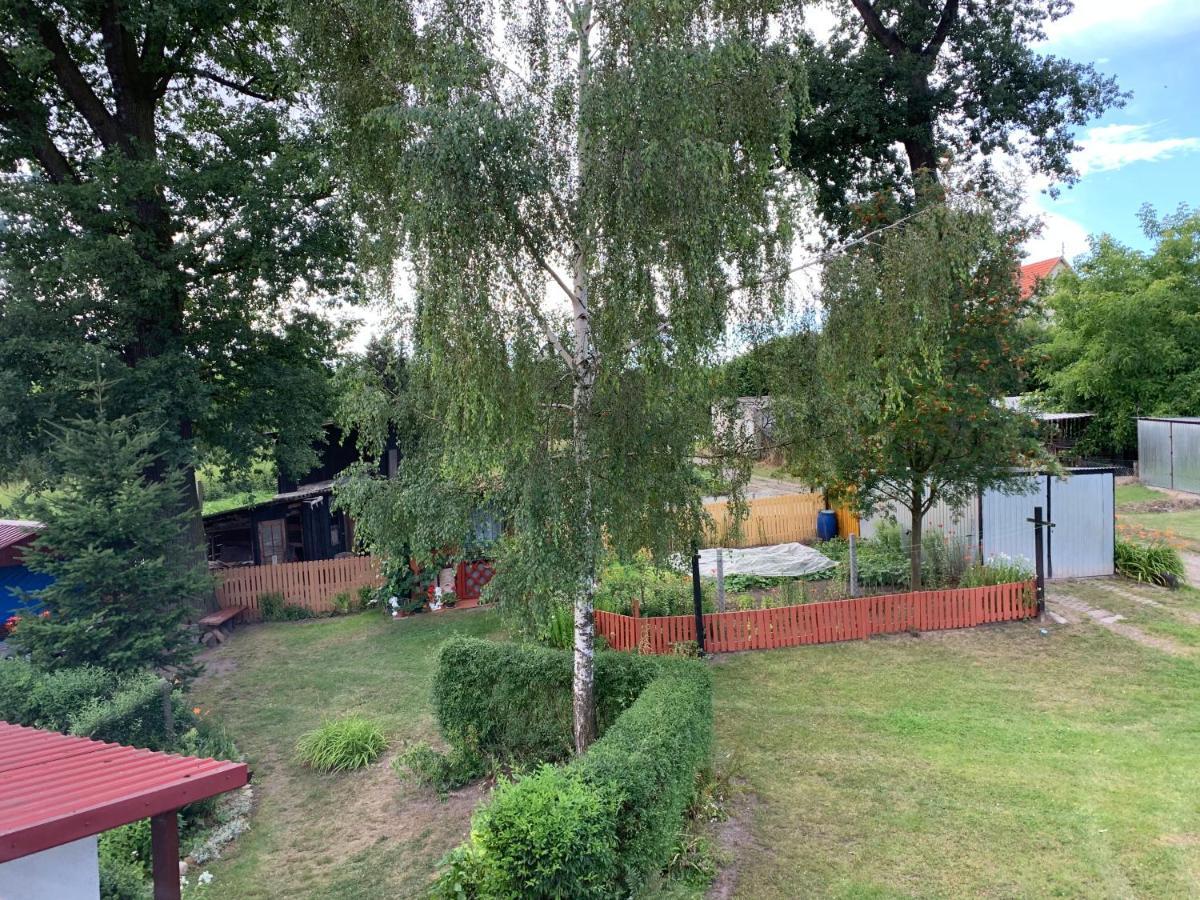 Apartament Dwa Deby Bozkow Exterior foto
